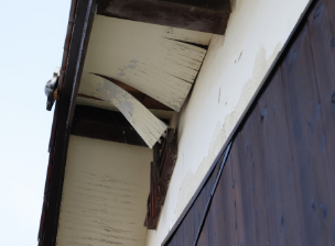 屋根の隙間からコウモリが侵入する